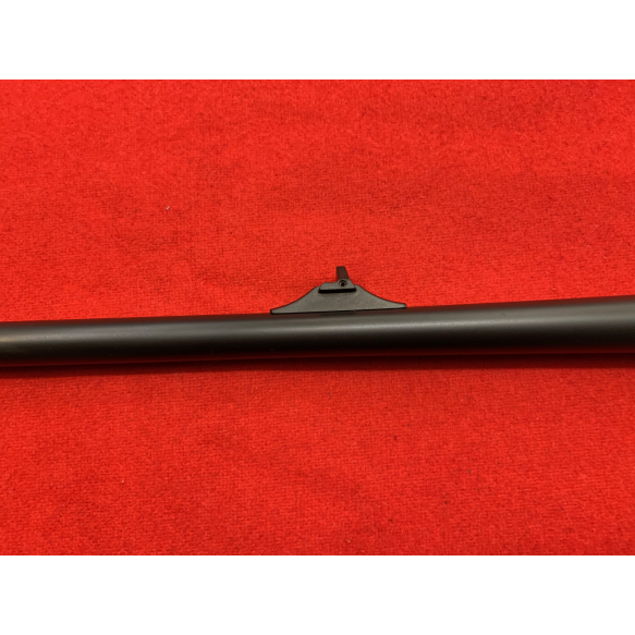 SFSP1177| BLASER CANNA R 93