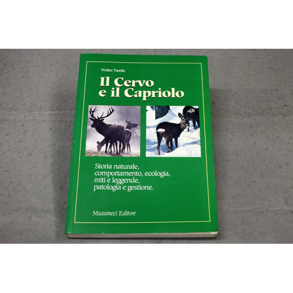 SFSP646| Il Cervo e il Capriolo 
